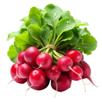 Fresh Radishes With Natural Green Leaves In Transparent Background png