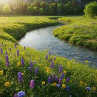 Wildflowers and a river in the mountains photo