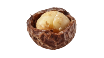 A walnut shell with a nut inside png