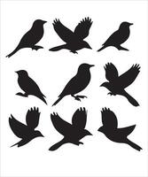 Birds silhouette set vector
