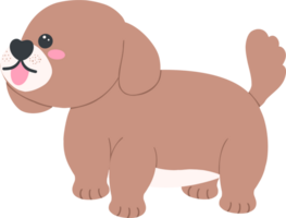 Shih Tzu Dog Cartoon Set in Cute Flat Design with Different Poses and Expressions png