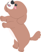 Shih Tzu Dog jumping Cartoon Set in Cute Flat Design with Different Poses and Expressions png