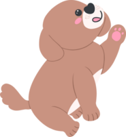 Shih Tzu Dog sitting and waving Cartoon Set in Cute Flat Design with Different Poses and Expressions png