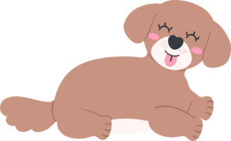 Shih Tzu Dog turns around and smiles Cartoon Set in Cute Flat Design with Different Poses png