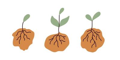 Growth stages of plants depicted with roots and shoots in a simple and clear illustration vector