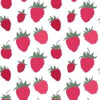 Bright berry pattern featuring assorted raspberries on a white background creating a cheerful and vibrant look vector