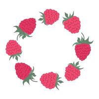 Circle of fresh raspberries arranged on a clean white background showcasing their vibrant color and natural texture vector