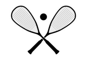Squash rackets and ball vector