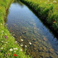 A river that is running through a field photo