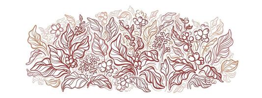 Coffee plantation Field with texture branch, berry vector
