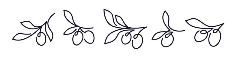 Olive branch set. Minimal linear sketch Oil symbol vector