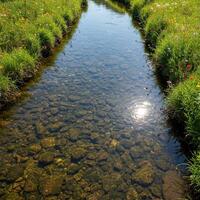 A river that is running through a field photo