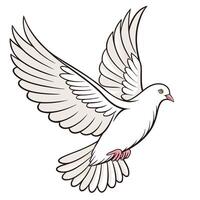 White Dove in Flight Elegant and Serene Bird Art vector
