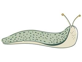 Flat Illustration of a Green Slug on White Background vector