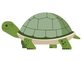 Flat Style Turtle on Hawaii Beach vector