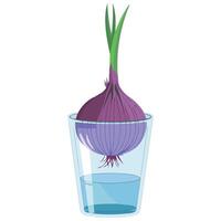 Red Onion with Green Shoots Illustration vector