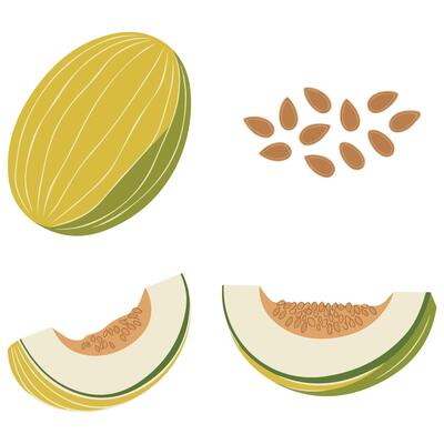 Melon fruit set icon isometric