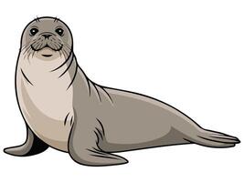 Seal animal icon playful design vector