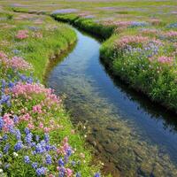 A stream runs through a field of wildflowers photo
