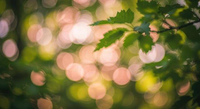 A blurry image of leaves and trees in the sun photo