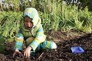 Baby Boy Playing In The Garden In Early Spring. photo