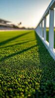 A racetrack scene with pristine racecourse with trimmed green grass. The white fence casting shadows on vibrant field photo