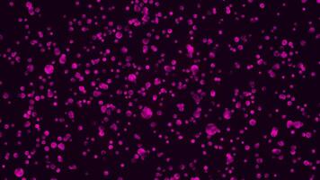 Radiant Pink Particles Glowing Animation on a Black Background video