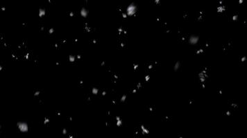 Snow falling on a black background video