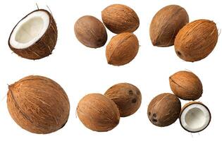 Set of coconuts on a white background. photo