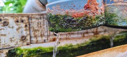 A water pipe is filled with water and green algae photo