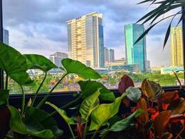 A window with a view of a city skyline photo