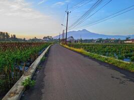 free road with mountain view photo