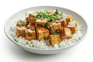 Serving Delicious Tofu Cubes with Rice and Spring Onion Garnish photo