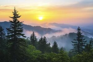 Sunrise Over Smoky Mountains with Fog and Pine Trees Scenery photo