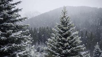 Snow Falling on Evergreen Trees in Mountain Forest Winter Landscape photo