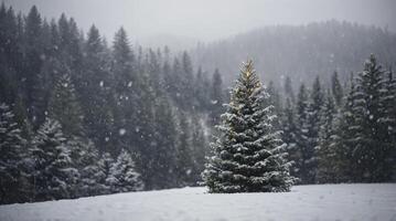 Christmas Tree Glowing in Snowy Forest Winter Landscape Scene photo