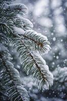 Snowy Pine Tree Branch in Winter with Soft Falling Snow Flakes photo