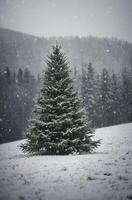 Solitary Christmas Tree Standing in Snowy Field During Winter Storm photo