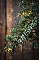 Fir Branch with Warm String Lights on Rustic Wood Background photo
