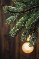 Close-up of Evergreen Branch with Water Droplets and Wooden Background photo
