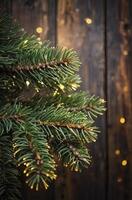 Christmas Tree Branch with Festive Lights on Rustic Wooden Background photo