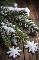 Snow Covered Evergreen Branch and Snowflakes on a Rustic Wood Surface photo