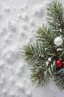 Evergreen Branch on Snow with Ornaments Festive Christmas Season photo