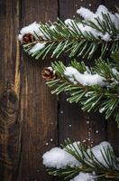 Snow Covered Fir Branches with Pine Cones on Dark Wood Background photo