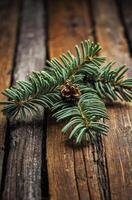 Fir Branch and Pine Cone on Rustic Wood Planks Background photo