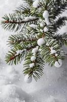 Fir Branch Dusted with Snow and Decorated with White Ornamentation photo