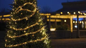 Decorating Christmas Tree with Lights in Outdoor Setting at Night photo