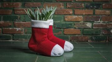 Unique Plant Display Red Socks As Planter Against Brick Wall Backdrop photo