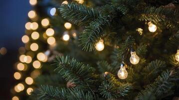 Decorating Christmas Tree with Warm String Lights for Festive Holiday Season photo