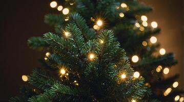 Decorated Christmas Tree with Warm Lights Close Up Festive Holiday Season photo